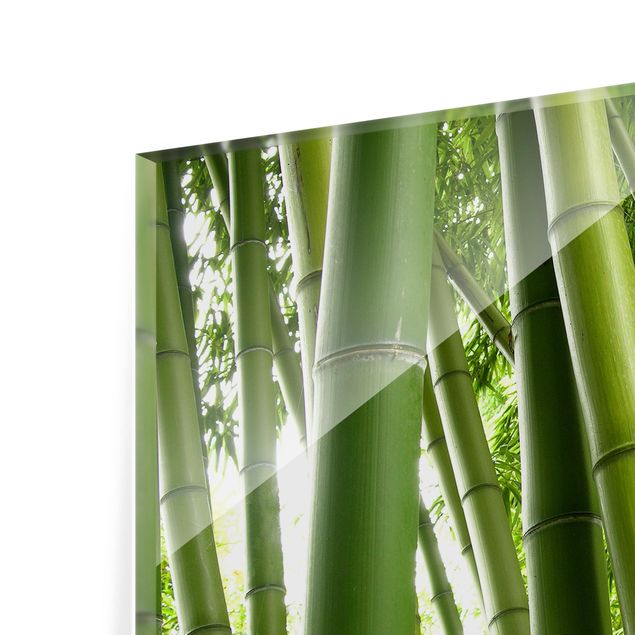 Spritzschutz Glas - Bamboo Trees - Querformat - 3:2