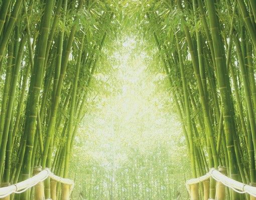 Fliesenfolie Bamboo Way