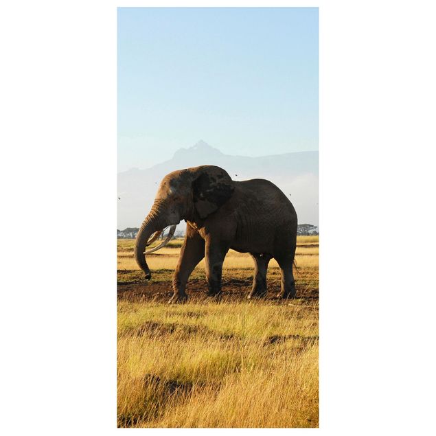 Raumteiler - Elefanten vor dem Kilimanjaro in Kenya 250x120cm