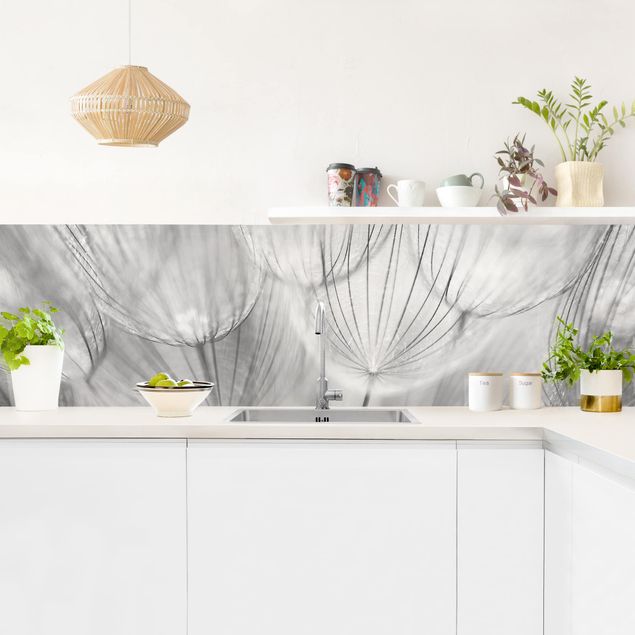 Wandpaneele Küche Pusteblumen Makroaufnahme in schwarz weiß