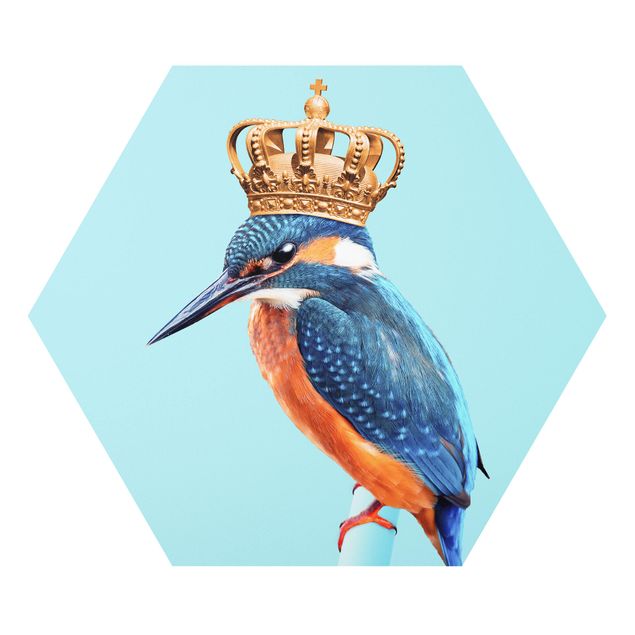 Hexagon Bild Forex - Jonas Loose - Eisvogel mit Krone
