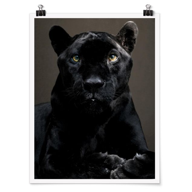 Moderne Poster Black Puma