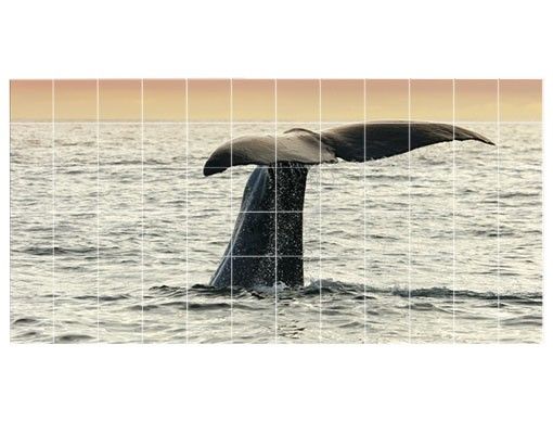 Fliesenaufkleber Tiere Wal beim Tauchgang