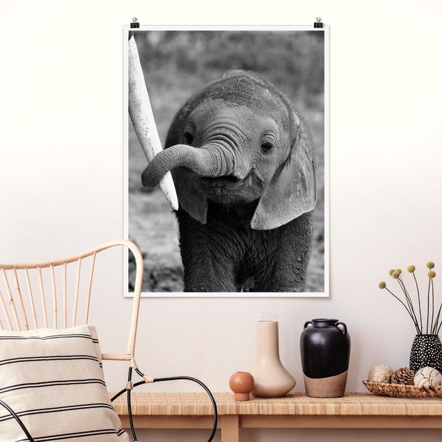 Poster - Elefantenbaby - Hochformat 3:4