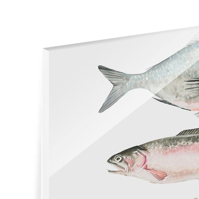 Glas Spritzschutz - Sieben Fische in Aquarell II - Quadrat - 1:1