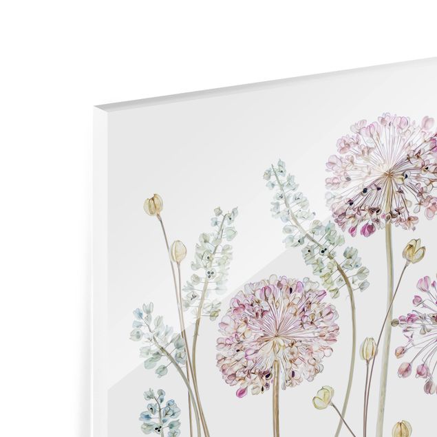Spritzschutz Glas - Allium Illustration - Querformat - 2:1