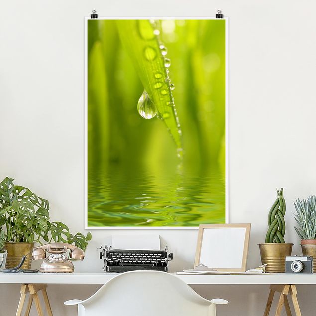 Wand Poster XXL Morning Dew