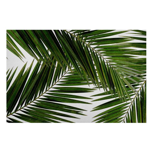 Magnettafel - Blick durch grüne Palmenblätter - Hochformat 3:2