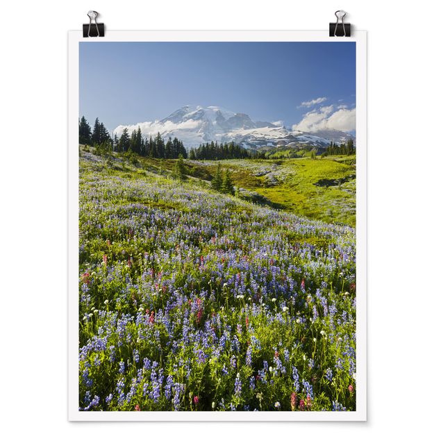 Poster - Bergwiese mit Blumen vor Mt. Rainier - Hochformat 3:4