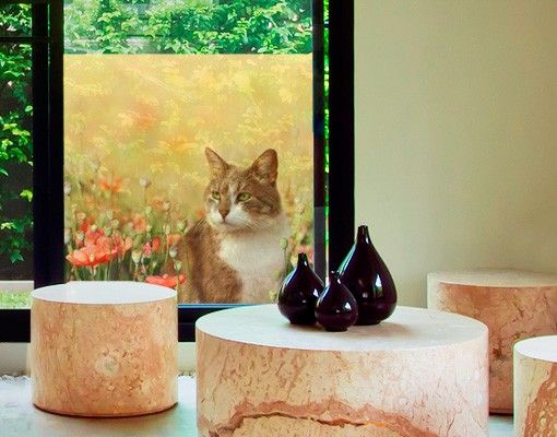 Fensterbilder selbstklebend Blumen Katze im Mohnfeld