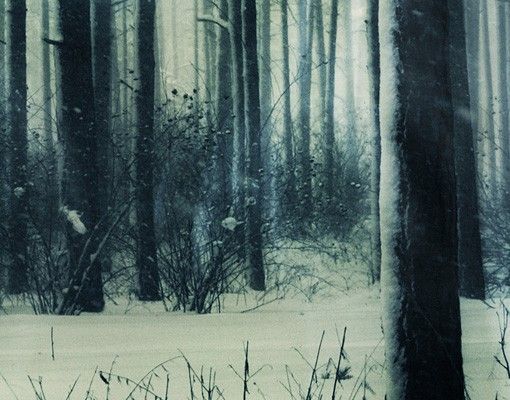 Fliesen Klebefolie Mystischer Winterwald