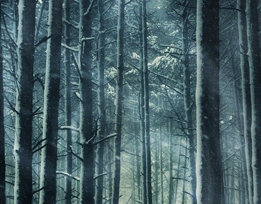 Fliesenbilder kaufen Mystischer Winterwald