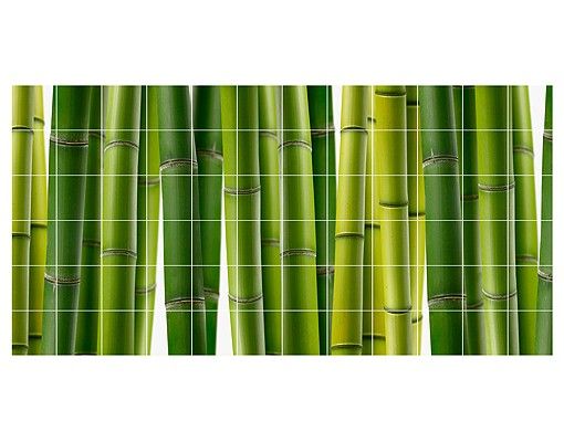 Fliesenbilder Natur Bambuspflanzen