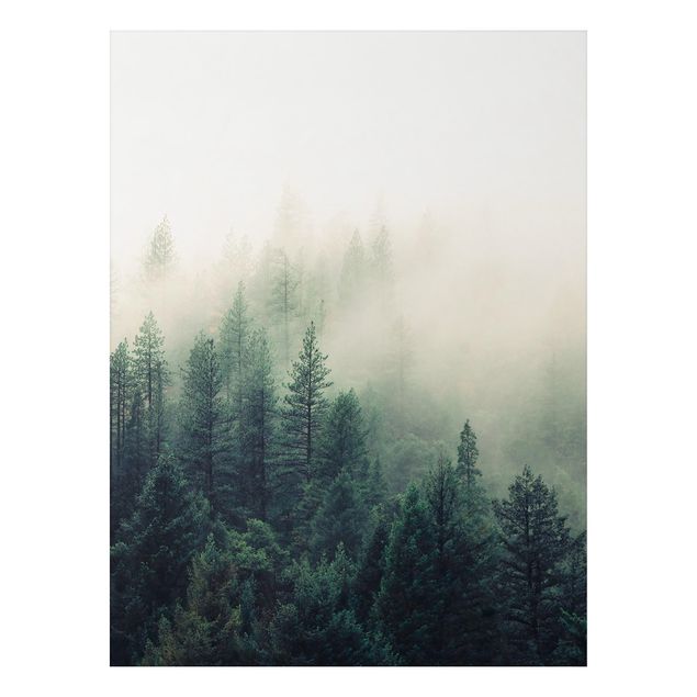 Alu-Dibond - Wald im Nebel Erwachen - Querformat