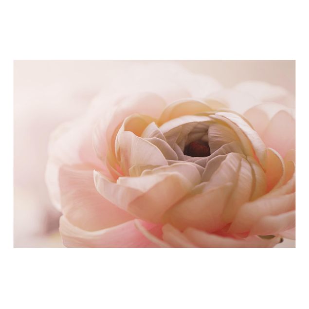 Alu-Dibond - Rosa Blüte im Fokus - Hochformat