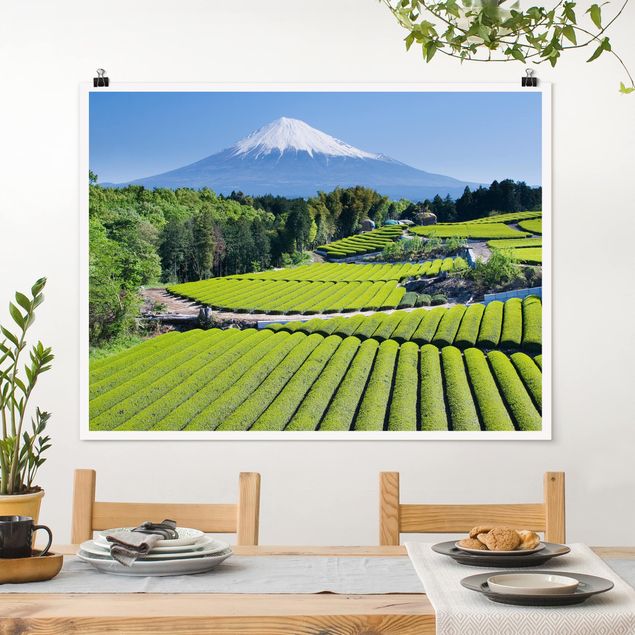 Poster - Teefelder vor dem Fuji - Querformat 3:4