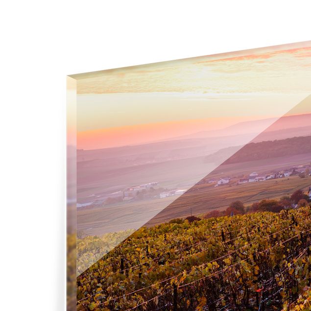Spritzschutz - Weinplantage bei Sonnenuntergang - Panorama 5:2