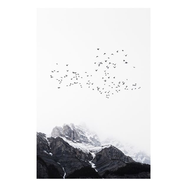 Bilder Vogelschwarm vor Bergen Schwarz Weiß