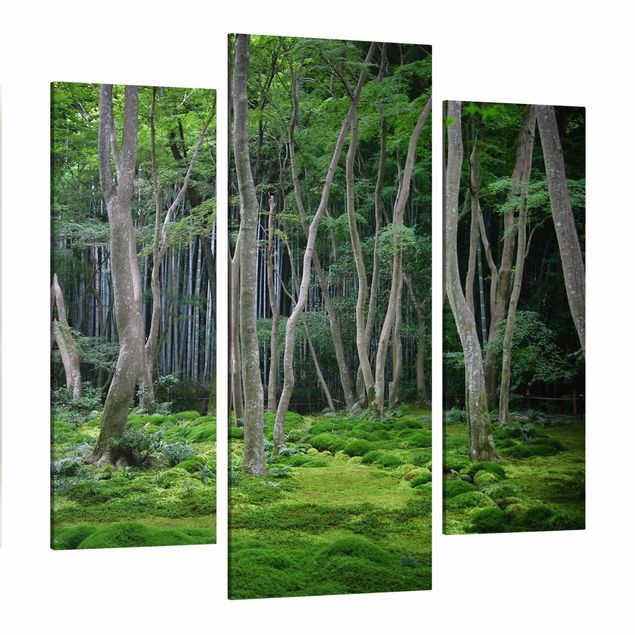 Leinwandbilder Japanischer Wald