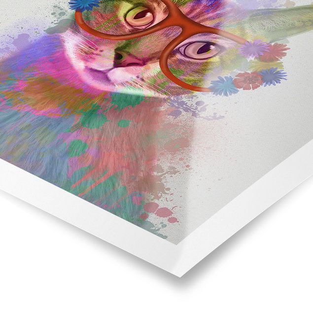 Wandbilder Regenbogen Splash Katze