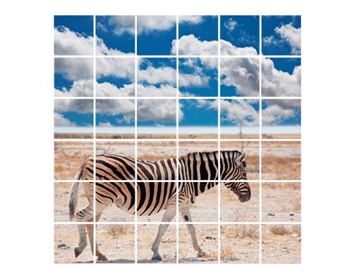 Fliesenbilder Skylines Zebra in der Savanne
