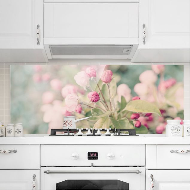 Glasrückwand Küche Blumen Apfelblüte Bokeh rosa