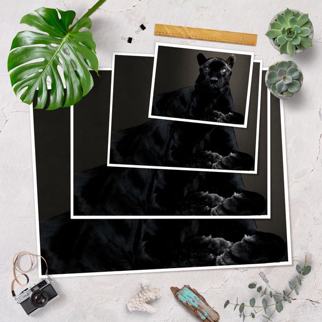 Poster - Black Puma - Querformat 3:4