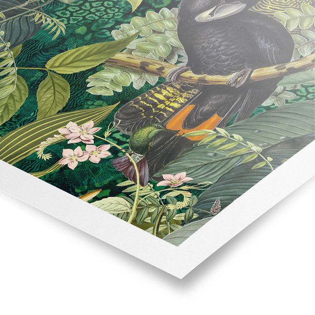 Poster kaufen Bunte Collage - Kakadus im Dschungel