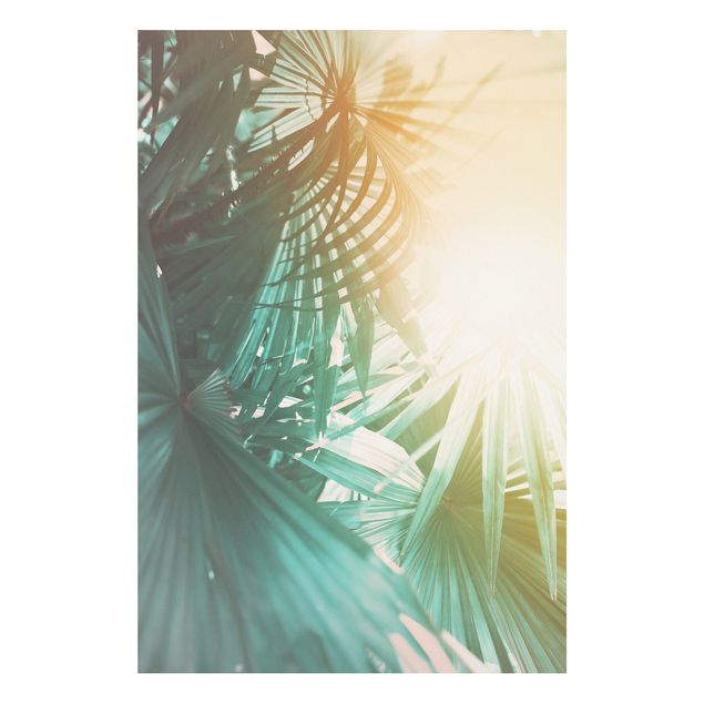 Forex Bilder Tropische Pflanzen Palmen bei Sonnenuntergang