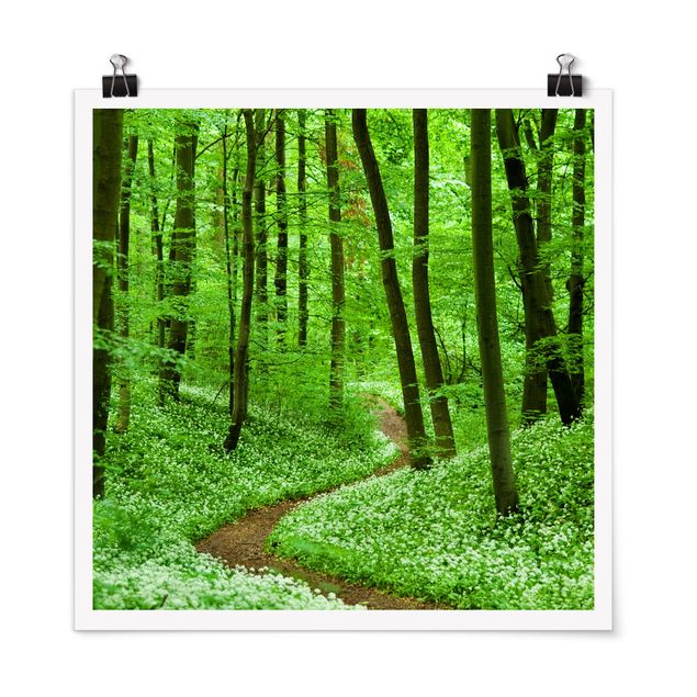 Wald Poster Romantischer Waldweg