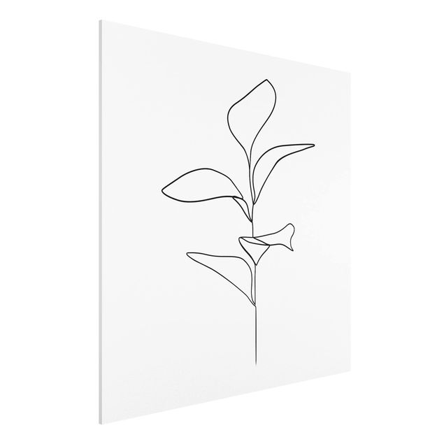 Forex Fine Art Print - Line Art Pflanze Blätter Schwarz Weiß - Quadrat 1:1