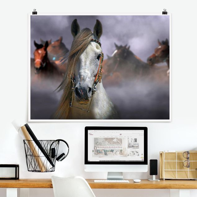Poster Pferde Horses in the Dust
