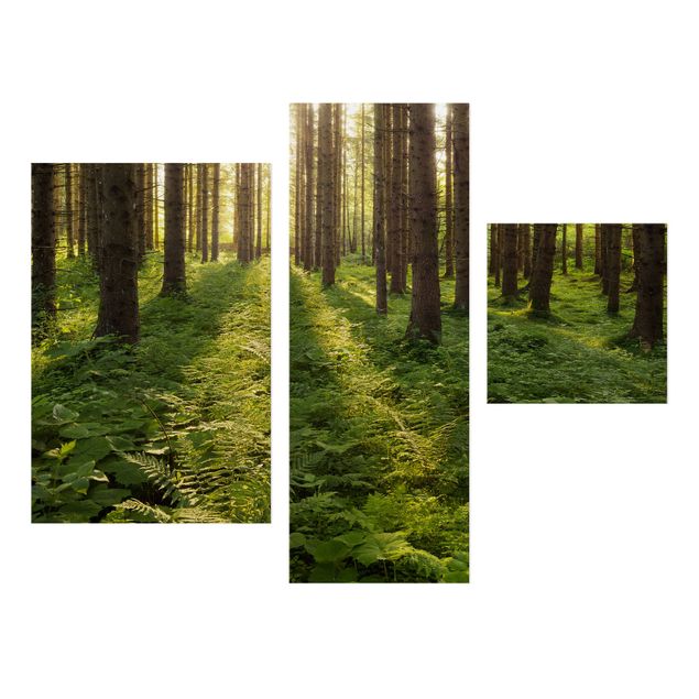 Leinwandbilder kaufen Sonnenstrahlen in grünem Wald