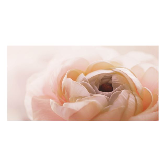 Monika Strigel Bilder Rosa Blüte im Fokus