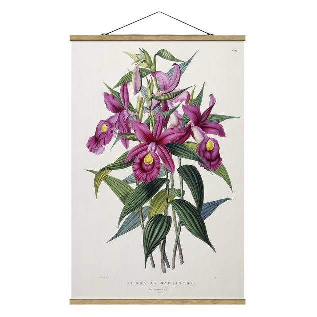 Stoffbild mit Posterleisten - Maxim Gauci - Orchidee I - Hochformat 2:3