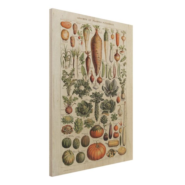 Holzbilder Blumen Vintage Lehrtafel Gemüse