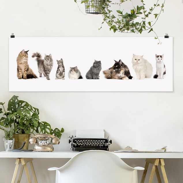 Poster Katzen Katzenbande