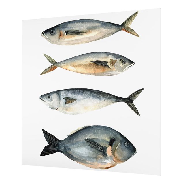 Glas Spritzschutz - Vier Fische in Aquarell I - Quadrat - 1:1