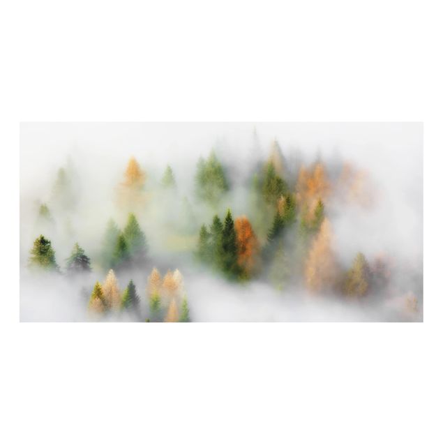 Spritzschutz Nebelwald im Herbst