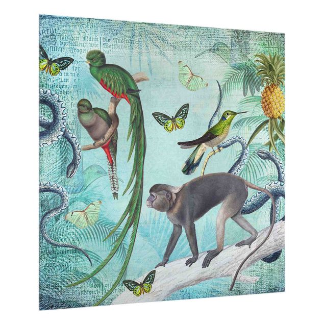 Spritzschutz Tiere Colonial Style Collage - Äffchen und Paradiesvögel