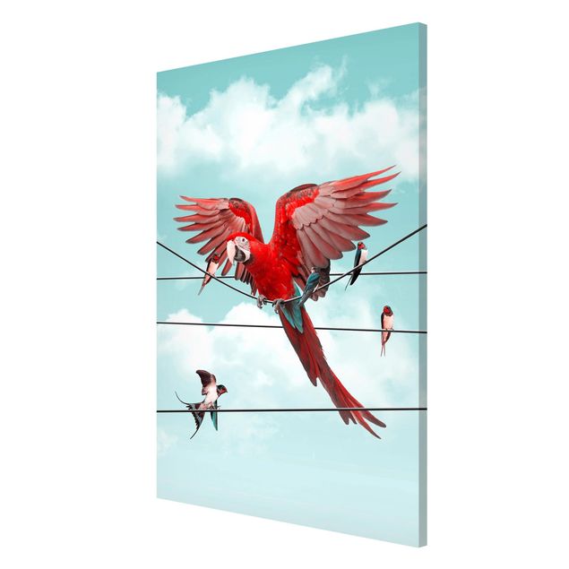 Magnettafel Design Himmel mit Vögeln