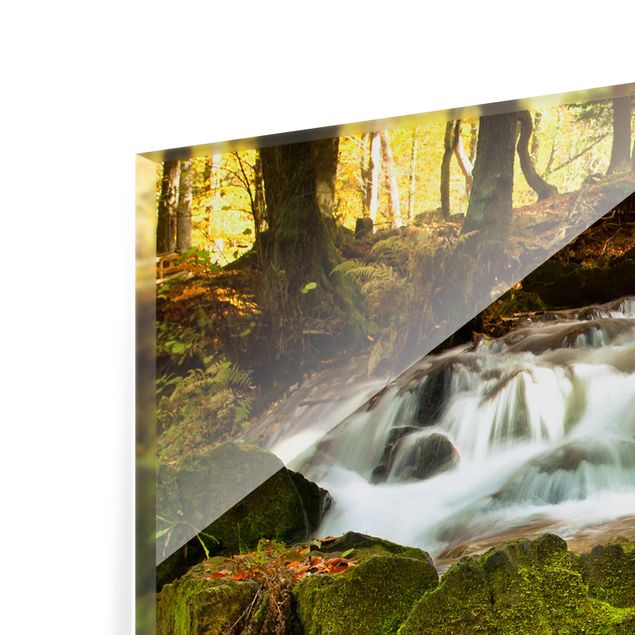 Spritzschutz Glas - Wasserfall herbstlicher Wald - Querformat - 2:1