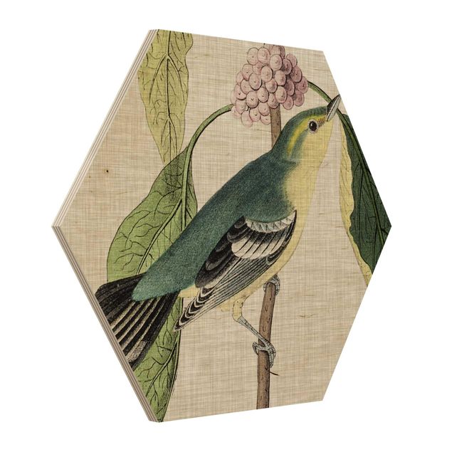 Hexagon Bild Holz - Vogel auf Leinen Rosa I