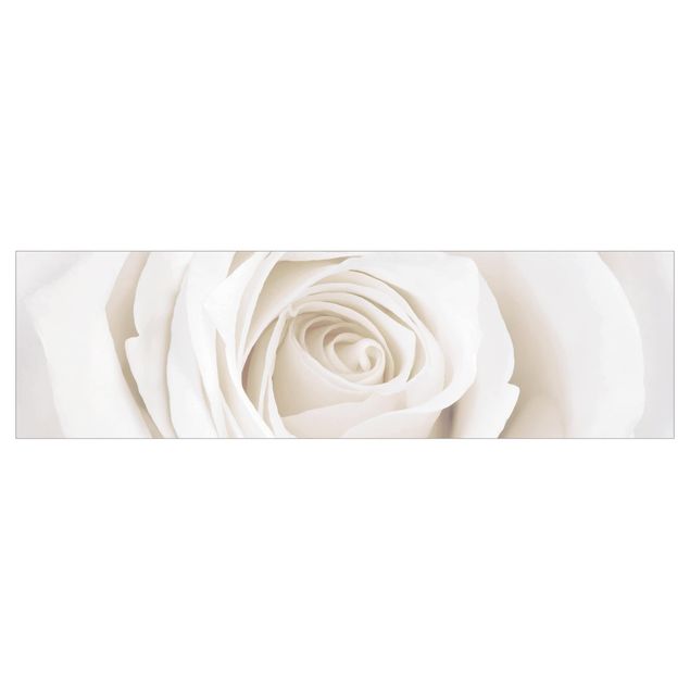 Küchenrückwand Motiv Pretty White Rose