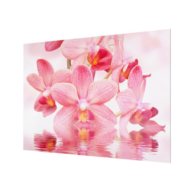 Glas Spritzschutz - Rosa Orchideen auf Wasser - Querformat - 4:3