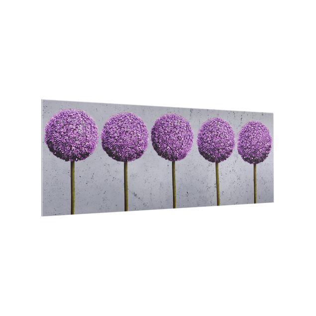Spritzschutz Glas - Allium Kugel-Blüten - Panorama - 5:2