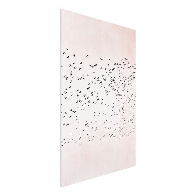 Kubistika Prints Vogelschwarm im Sonnenuntergang