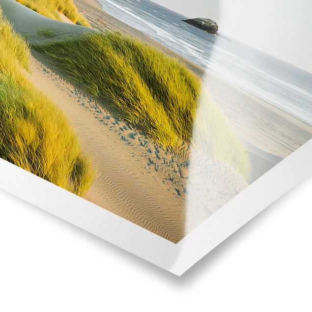 Poster - Dünen und Gräser am Meer - Panorama Querformat