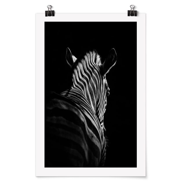 Bilder Dunkle Zebra Silhouette