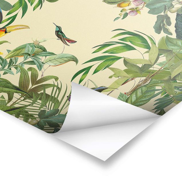 Poster - Vintage Collage - Vögel im Dschungel - Querformat 2:3